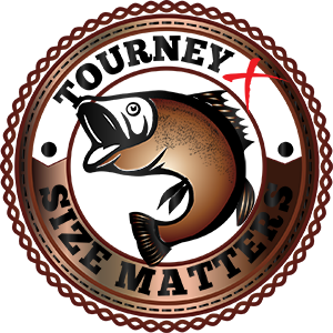Size Matters - Bronze