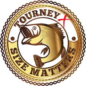 Size Matters - Gold